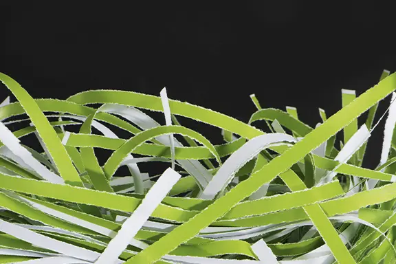 Tiras de papel
